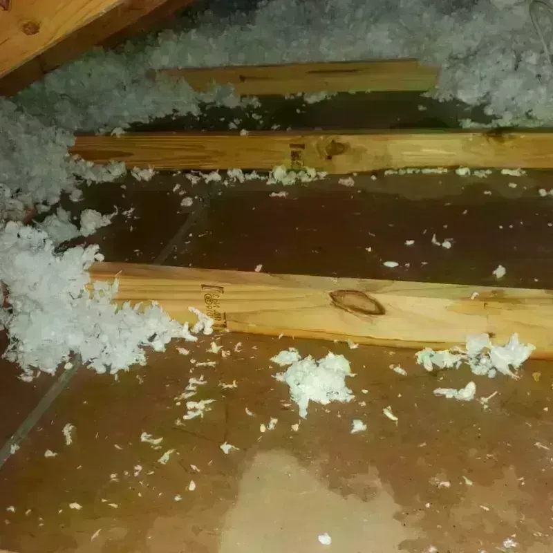 Attic Water Damage in Keokuk, IA